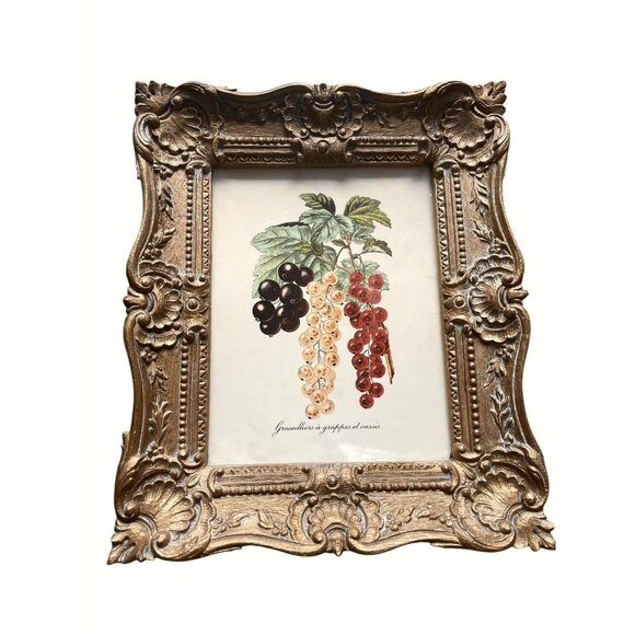 Vtg Burwood Botanical Fruit Prints Set 4 Ornate Gold Frame Hollywood Regency 60s - Picture 4 of 6